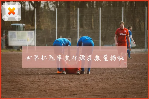世界杯冠军奖杯颁发数量揭秘