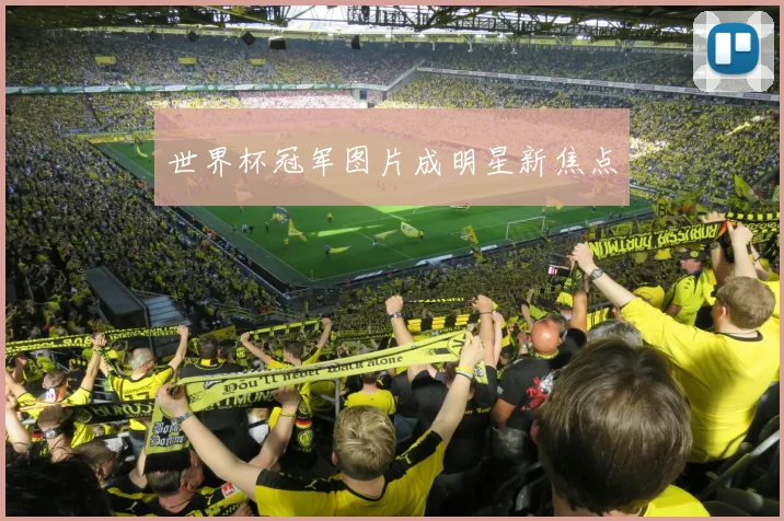 世界杯冠军图片成明星新焦点
