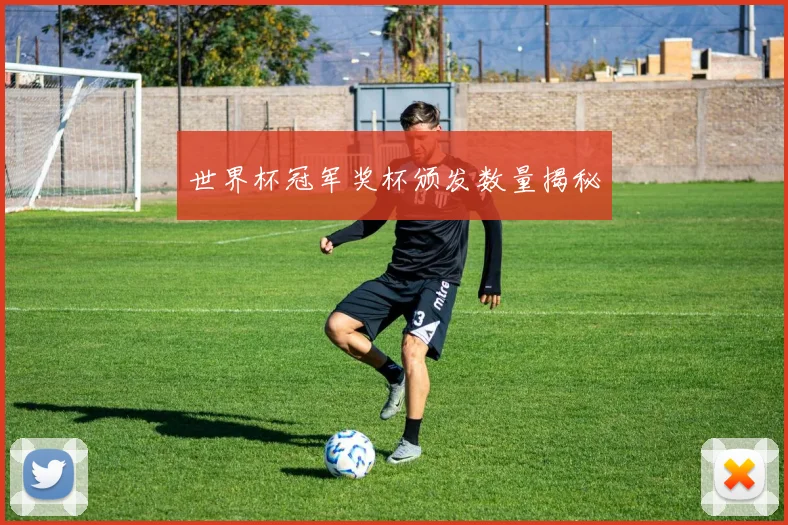 世界杯冠军奖杯颁发数量揭秘