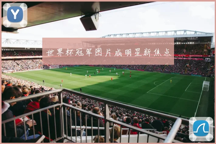 世界杯冠军图片成明星新焦点